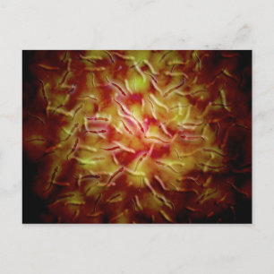 Microscopisch Uitzicht van Sperm Briefkaart