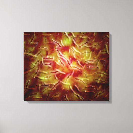 Microscopisch Uitzicht van Sperm Canvas Afdruk (Voorkant)