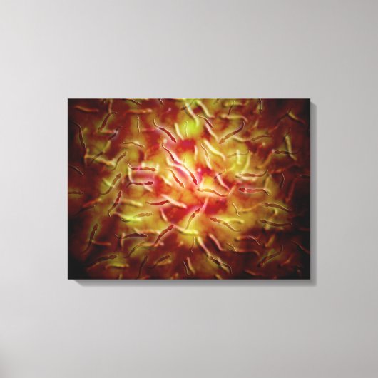 Microscopisch Uitzicht van Sperm Canvas Afdruk (Voorkant)