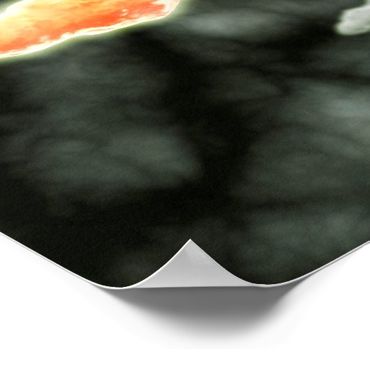 Microscopisch Uitzicht van Sperm Traveling Poster (Hoek)