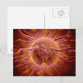 Microscopisch Uitzicht van spinzwemmen naar eieren Briefkaart (Voorkant / Achterkant)