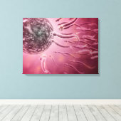 Microscopisch Uitzicht van spinzwemmen naar eieren Canvas Afdruk (Insitu (Houten vloer))