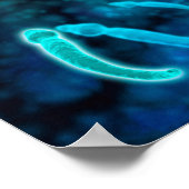 Microscopisch Uitzicht van spinzwemmen naar eieren Poster (Hoek)