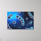 Microscopisch Uitzicht van Streptococcus 2 Canvas Afdruk (Voorkant)