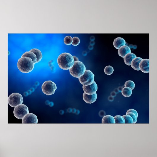 Microscopisch Uitzicht van Streptococcus 2 Poster (Voorkant)