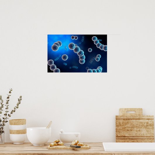 Microscopisch Uitzicht van Streptococcus 2 Poster (Keuken)