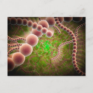Microscopisch Uitzicht van Streptococcus pneumonia Briefkaart