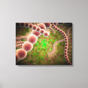 Microscopisch Uitzicht van Streptococcus pneumonia Canvas Afdruk