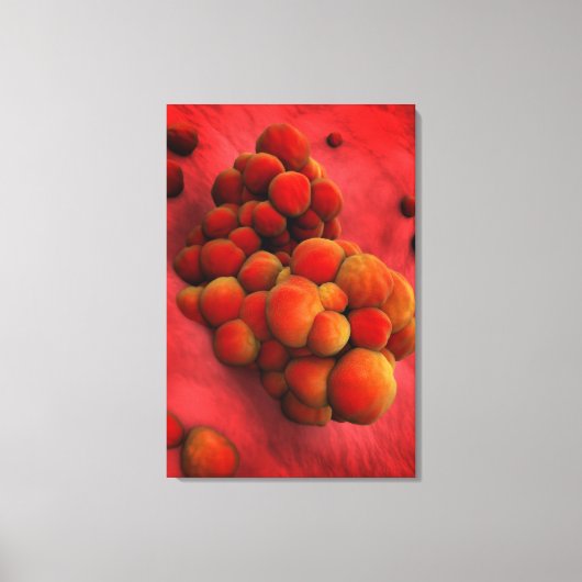 Microscopisch Uitzicht van tumor 2 Canvas Afdruk (Voorkant)