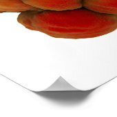 Microscopisch Uitzicht van tumor 4 Poster (Hoek)