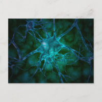 Microscopisch Uitzicht van Veelvoudige Cellen 2