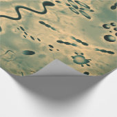 Microscopische microben cadeaupapier (Hoek)