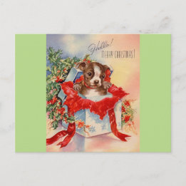 Mid Century Beauful Baby Boston Terrier Briefkaart