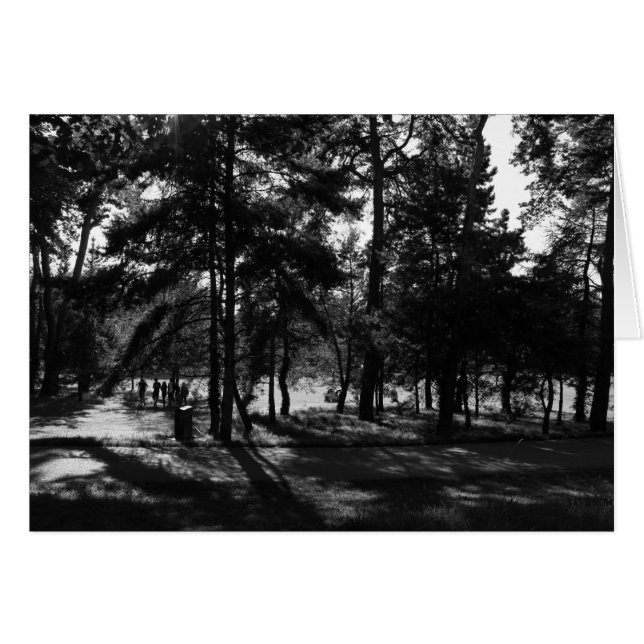 Middagmiddag in het park (Voorkant Horizontaal)