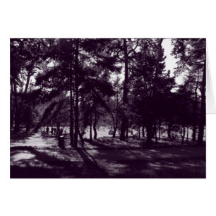 Middagmiddag in het park (Paarse Toned BW)