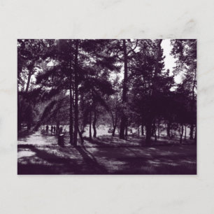 Middagmiddag in het park (Paarse Toned BW) Briefkaart