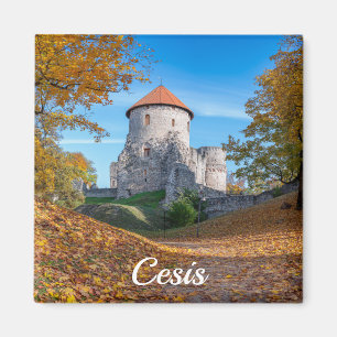 Middeleeuws kasteel omgeven door bos magneet