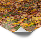 Middeleeuws kasteel omgeven door bos perfect poster (Hoek)