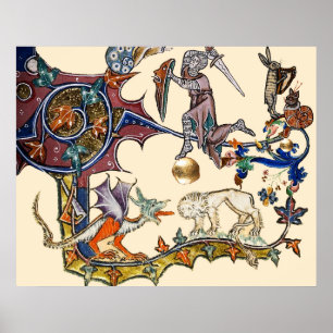 MIDDELEEUWSE BESTIARY OORLOG Slak vs Ridder ,Draak Poster