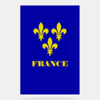 Middeleeuwse Franse Koninklijke Standaard Getrouwh