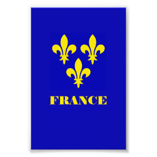 Middeleeuwse Franse Koninklijke Standaard Getrouwh Foto Afdruk