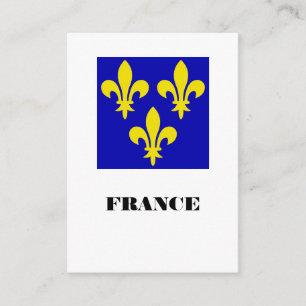 Middeleeuwse Franse Koninklijke Standaard Getrouwh Informatiekaartje