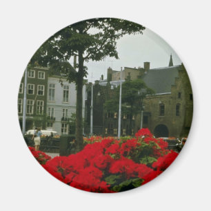 middeleeuwse gevangenis in de bloemen van Den Haag Magneet