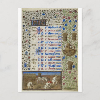 Middeleeuwse kalender: Juli Briefkaart