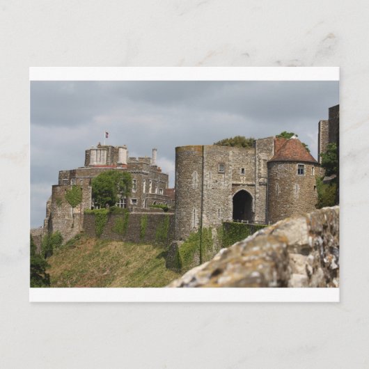 Middeleeuwse ridders paarden leeuwen kasteel parti briefkaart (Voorkant)