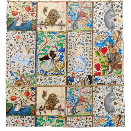 MIDDELGROTE BESTIJDIGE SPEELSTUKKEN DOUCHEGORDIJN (Voorkant)