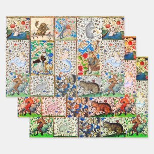 MIDDELGROTE BESTIJDIGE SPEELSTUKKEN INPAKPAPIER VEL