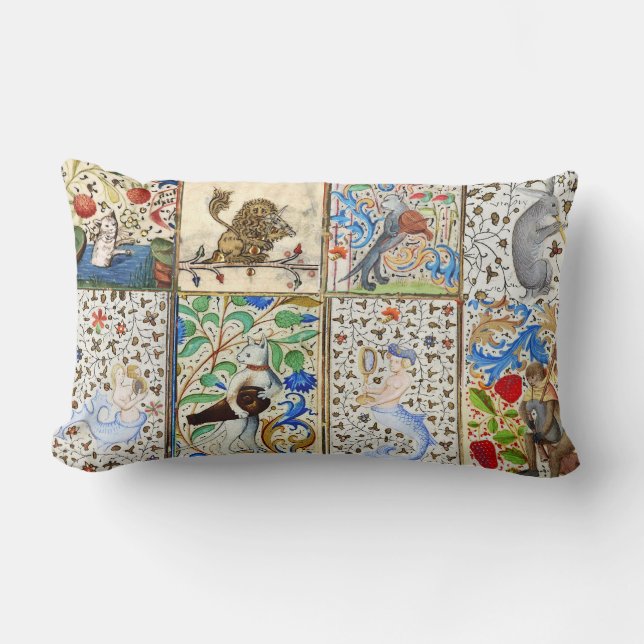 MIDDELGROTE BESTIJDIGE SPEELSTUKKEN KUSSEN (Voorkant)