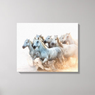 Middellandse Zee bij zonsopgang Canvas Afdruk