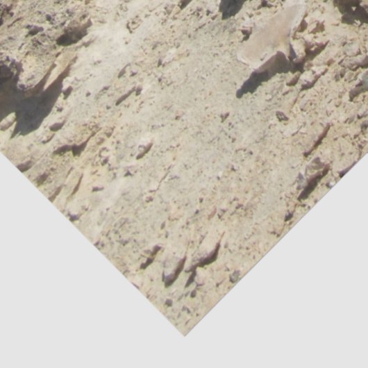 Middellandse-Zeelandschap Tissuepapier (Detail)