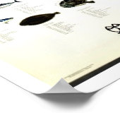 Middellandse-Zeevis Afdrukken Poster (Hoek)