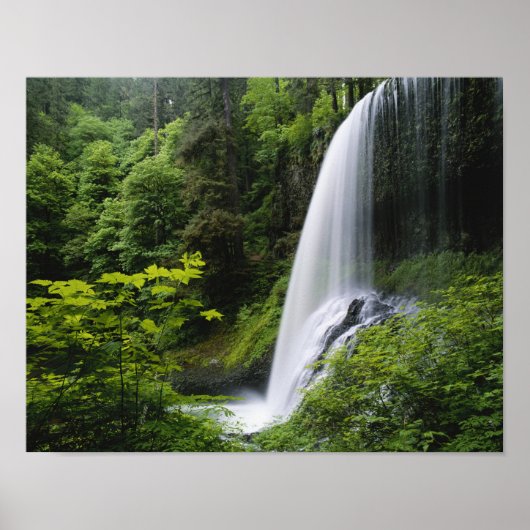 Middelste Noord-waterval, Silver Falls State Park, Poster (Voorkant)