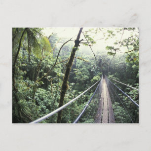 Midden-Amerika, Costa Rica, Monteverde Cloud Briefkaart