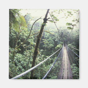 Midden-Amerika, Costa Rica, Monteverde Cloud Magneet