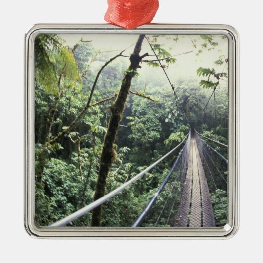 Midden-Amerika, Costa Rica, Monteverde Cloud Metalen Ornament (Voorkant)