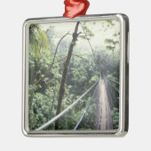 Midden-Amerika, Costa Rica, Monteverde Cloud Metalen Ornament (Links)