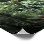 Midden-Amerika, Costa Rica, Monteverde Cloud Poster (Hoek)