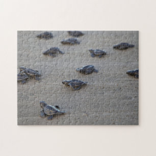 Midden-Amerika, El Salvador, Stille Oceaan Legpuzzel