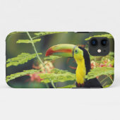 Midden-Amerika, Honduras. Keel-naveltoucan Case-Mate iPhone Case (Achterkant (horizontaal))