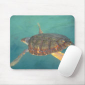 Midden-Amerika, Panama, Bocas Del Torro Muismat (Met muis)