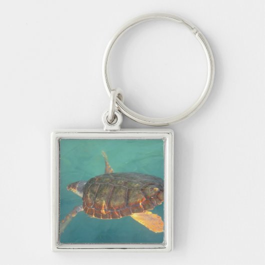 Midden-Amerika, Panama, Bocas Del Torro Sleutelhanger (Voorkant)