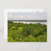 Midden-Amerika regenwoud in Belize Briefkaart (Voorkant / Achterkant)