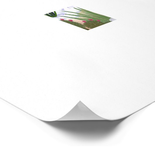 Midden-eeuws modern poolhouse extra grote print (Hoek)