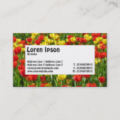 Midden-label - Zee Tulpen III Visitekaartje (Achterkant)