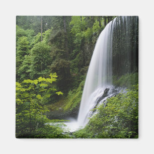 Midden Noord-waterval, Silver Falls State Park, Magneet