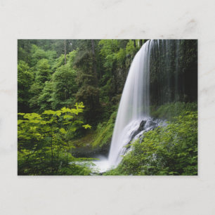 Midden-Noordse herfsten, Silver Herfst State Park Briefkaart